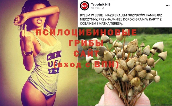 ALPHA PVP Гусиноозёрск