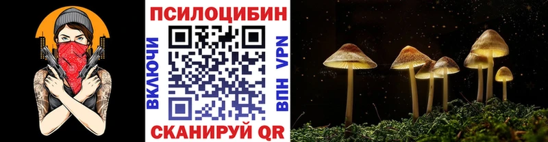 Псилоцибиновые грибы мухоморы Меленки